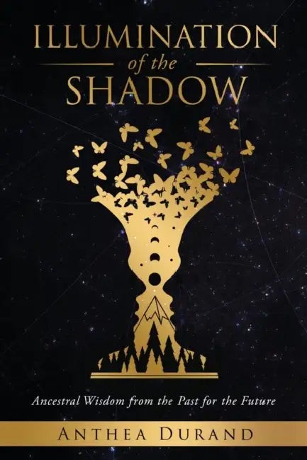 Buy Illumination of the Shadow (English, Anthea Durand) — BookShops.in