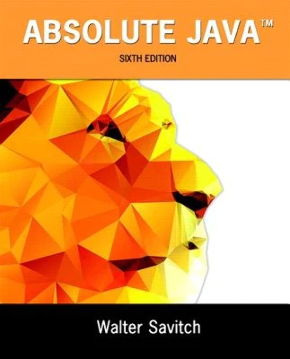 Buy Absolute Java by Walter Savitch – Programming Guide — BookShops.in