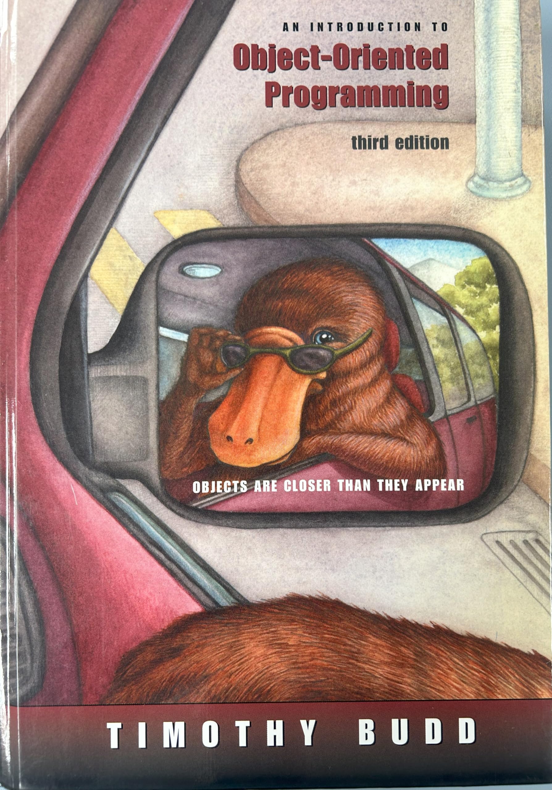 Buy An Introduction to Object-Oriented Programming by Timothy Bu — BookShops.in