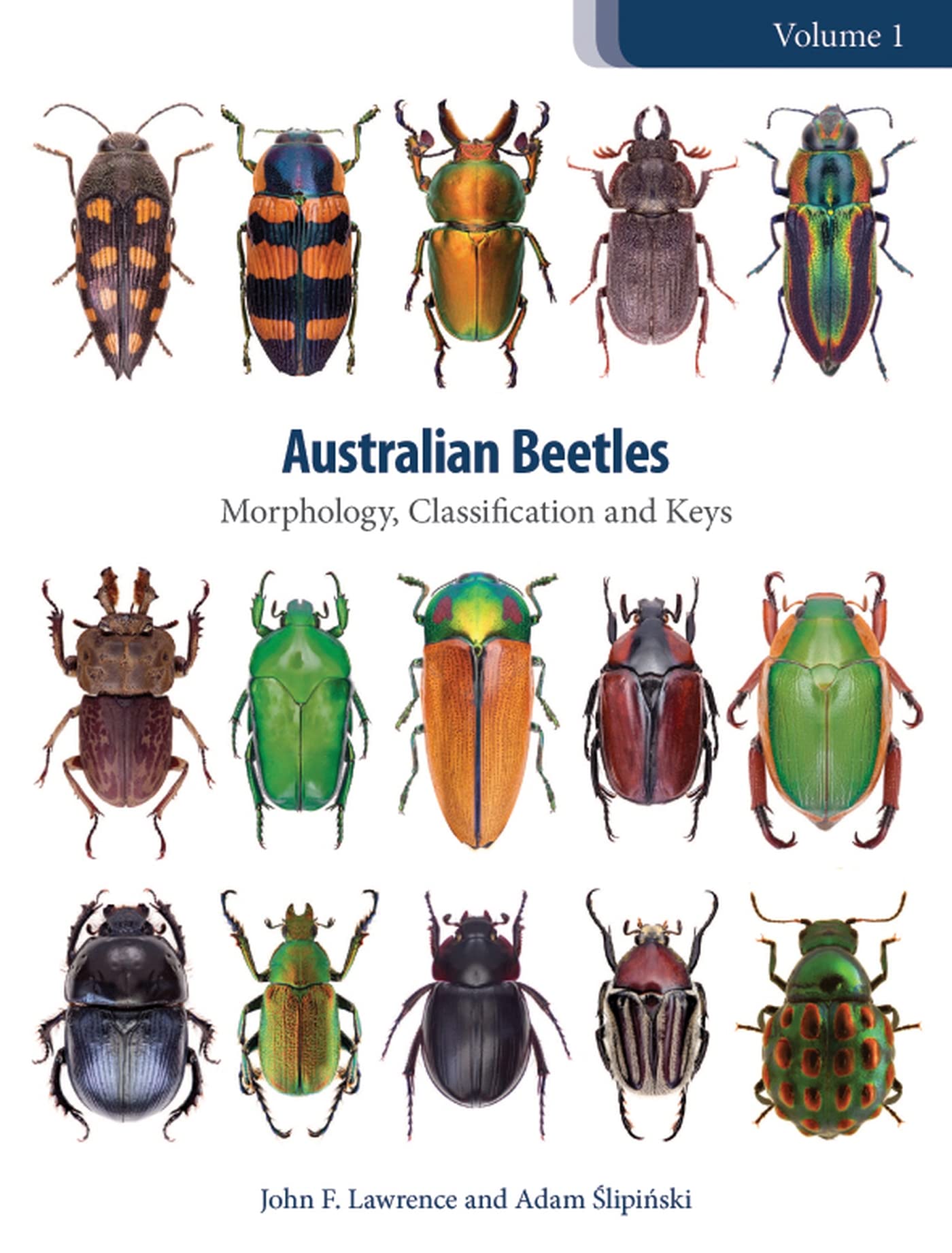 Buy Australian Beetles: Morphology, Classification and Keys by John Lawrence — BookShops.in