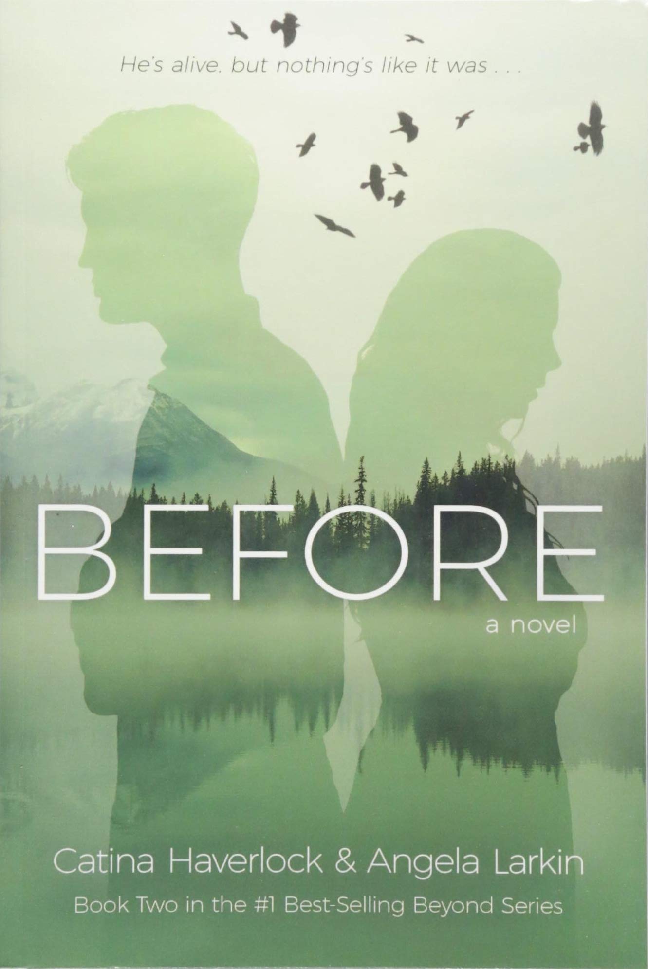 Buy Before by Angela Larkin — BookShops.in