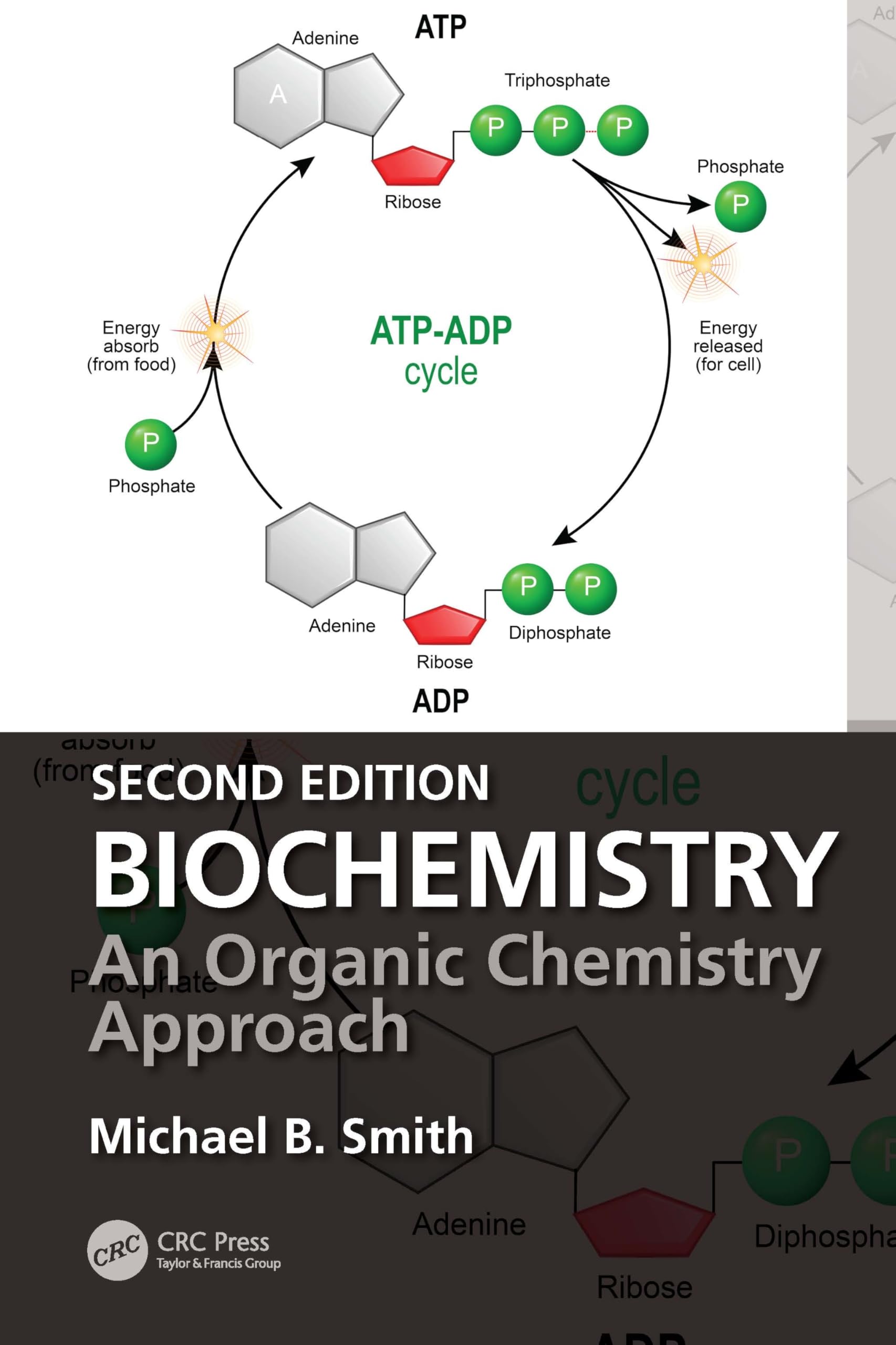Buy Biochemistry: An Organic Chemistry Approach by Smith Michael — BookShops.in