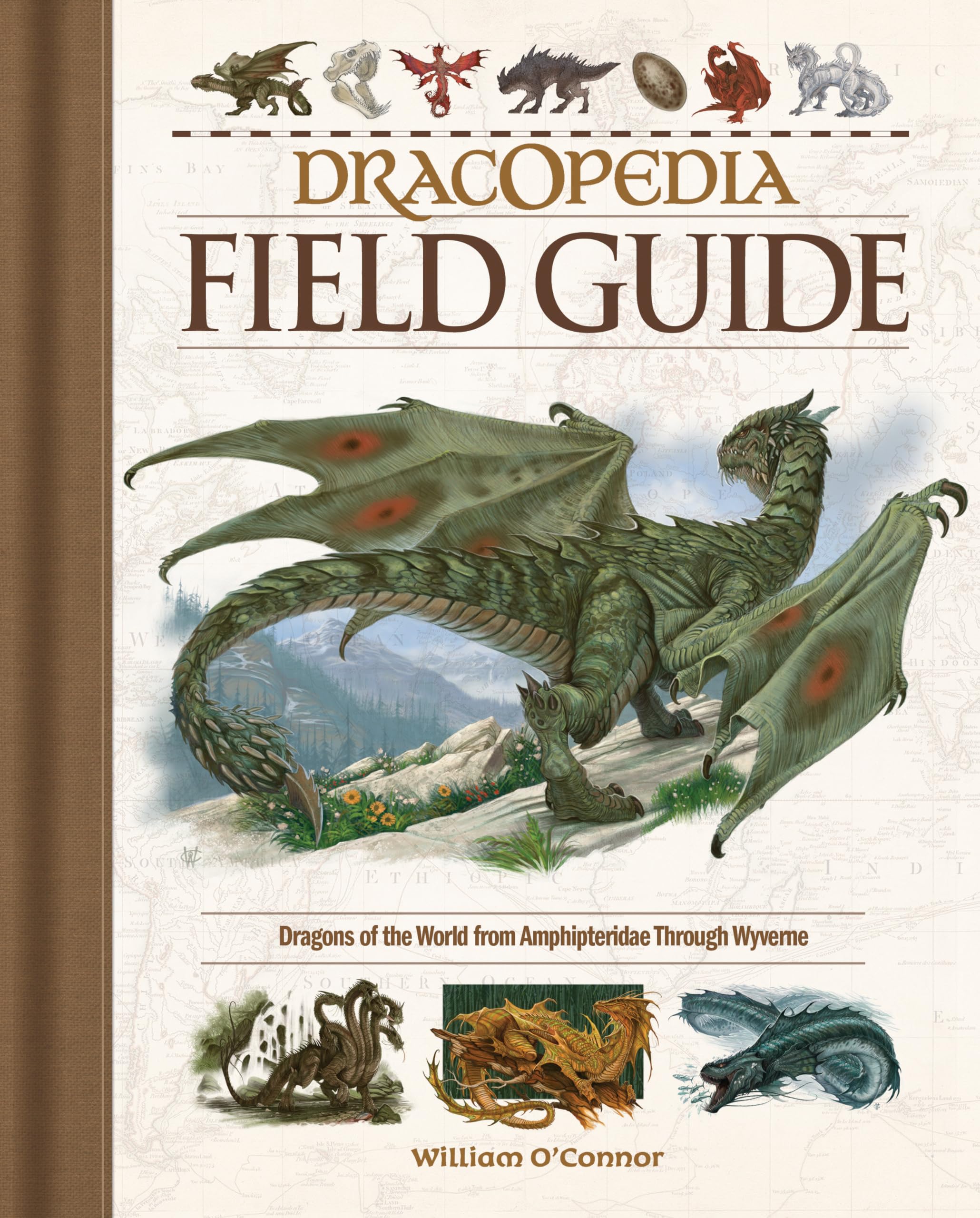 Buy Dracopedia Field Guide by William O'Connor — BookShops.in