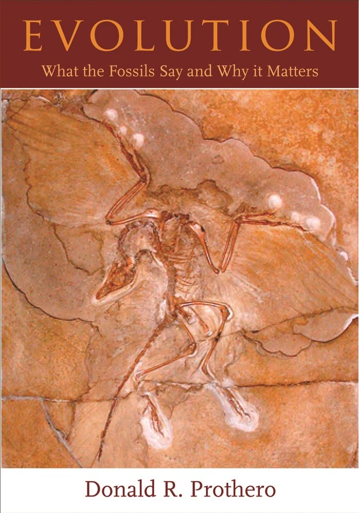 Buy Evolution: What the Fossils Say and Why It Matters by Donald R. Prothero β BookShops.in