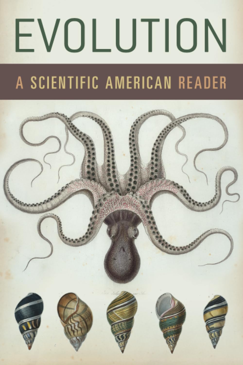 Buy Evolution: A Scientific American Reader by Scientific Americ — BookShops.in