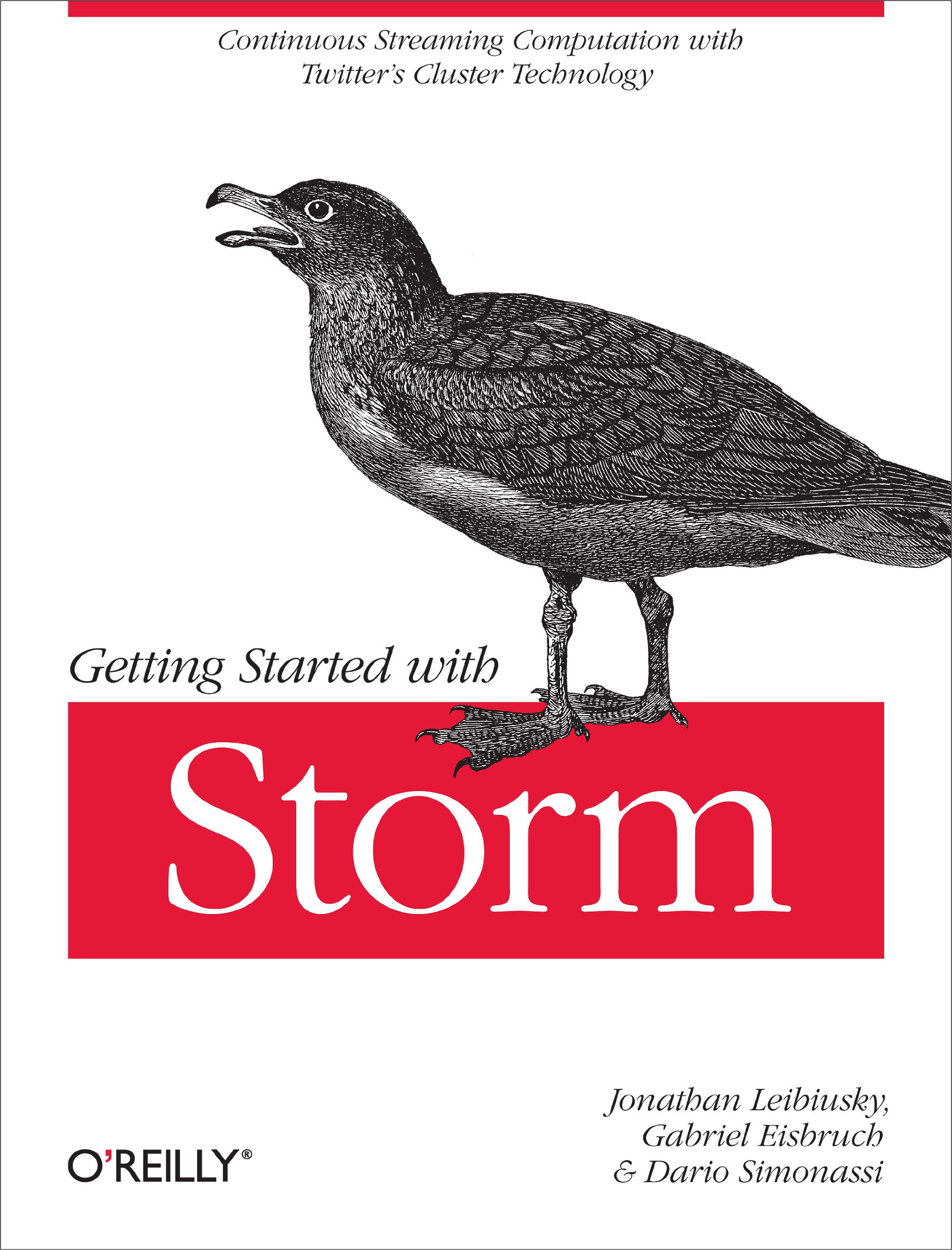 Buy Getting Started with Storm: Continuous Streaming Computation with Twitter's Cluster Technology — BookShops.in