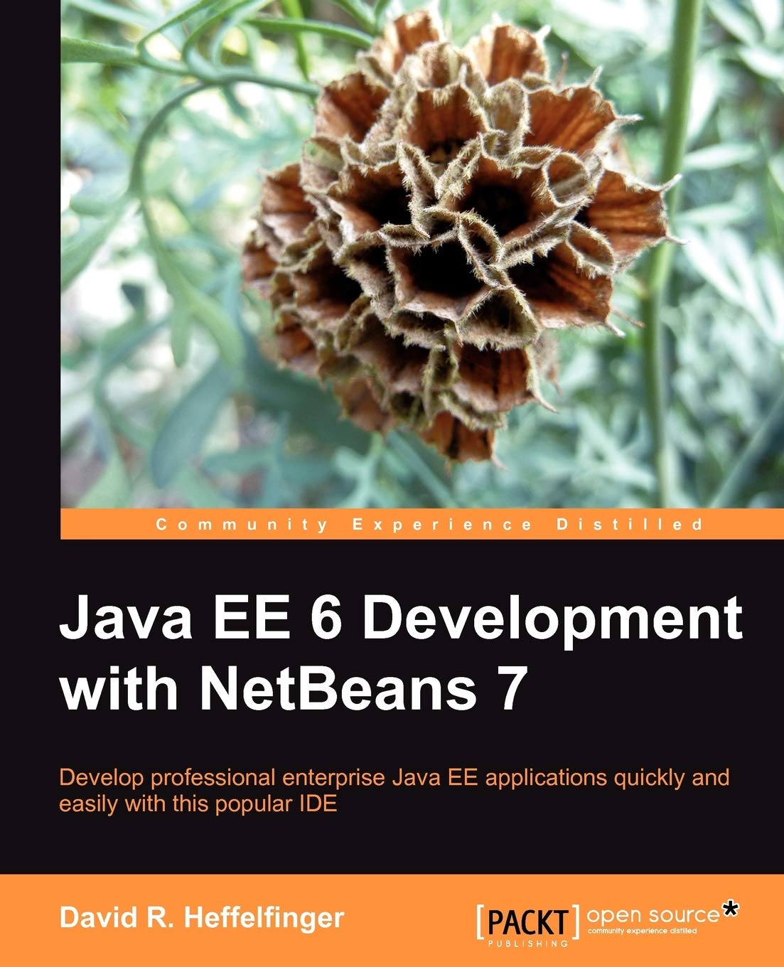 Buy Java EE 6 Development With Netbeans 7 by David Heffelfinger — BookShops.in