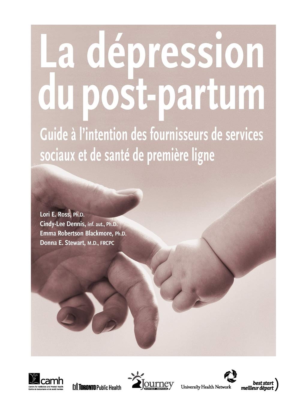 Buy La Depression Du Post-Partum by Lori E. Ross — BookShops.in