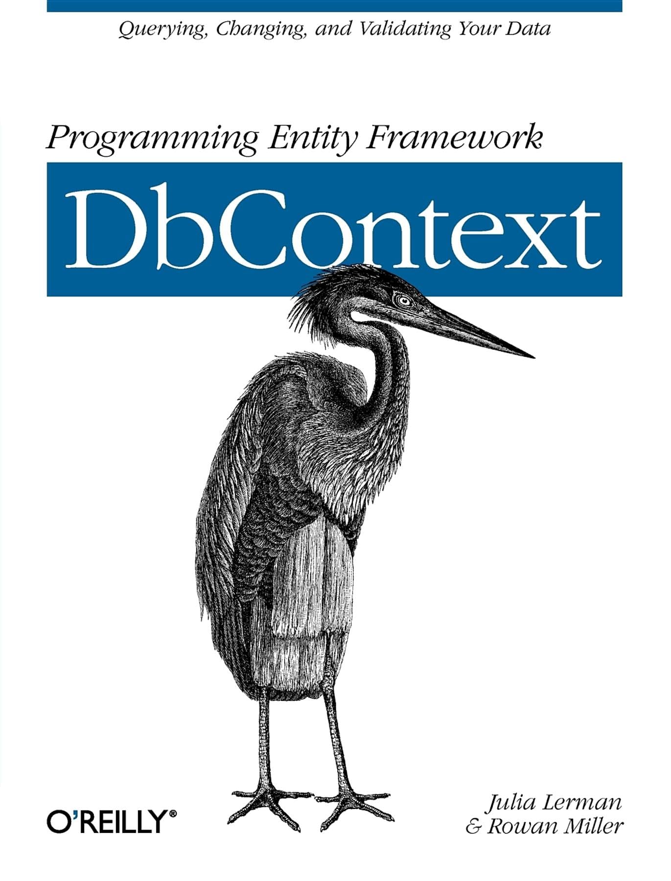 Buy Programming Entity Framework by Julia Lerman — BookShops.in
