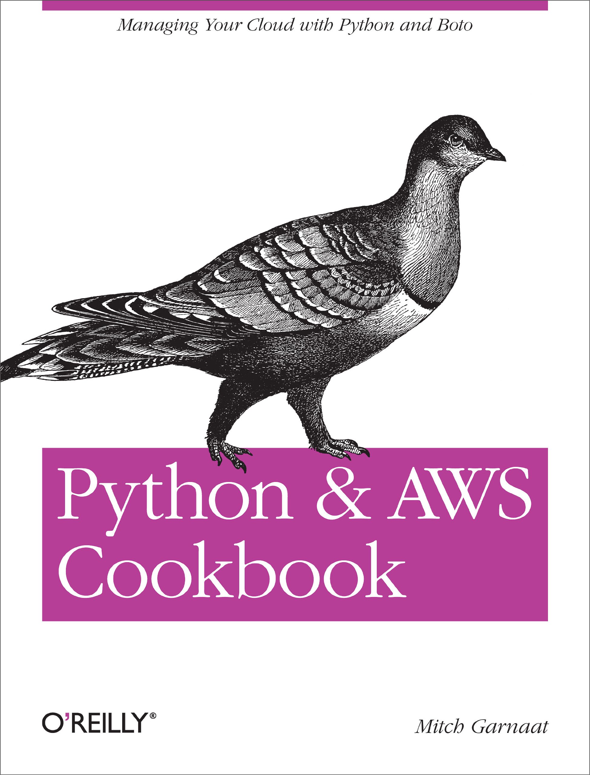 Buy Python and AWS Cookbook by Mitch Garnaat โ BookShops.in