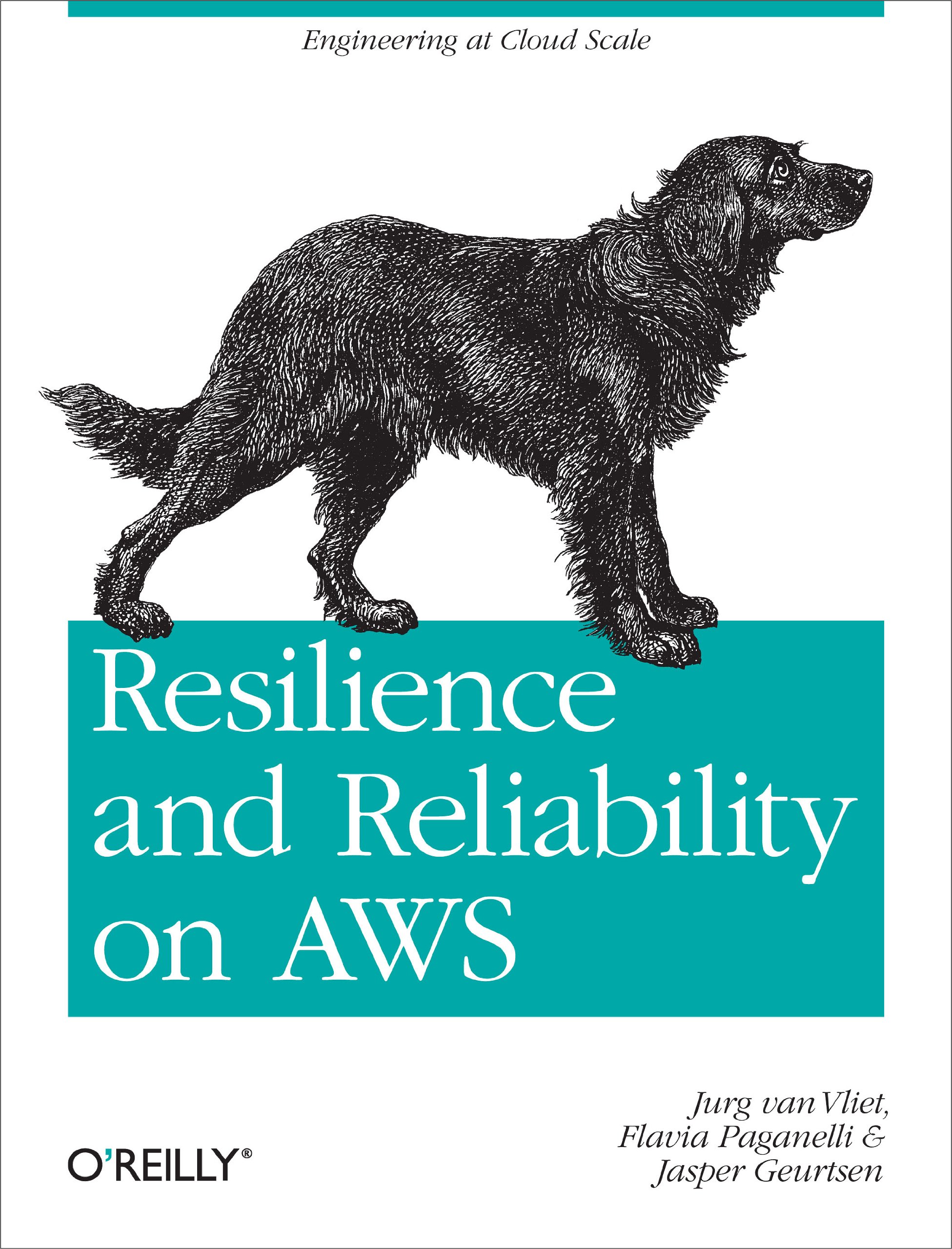 Buy Resilience and Reliability on AWS: Engineering at Cloud Scale — BookShops.in
