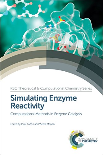Buy SIMULATING ENZYME REACTIVITY: COMPUTATIONAL METHODS IN ENZYM — BookShops.in
