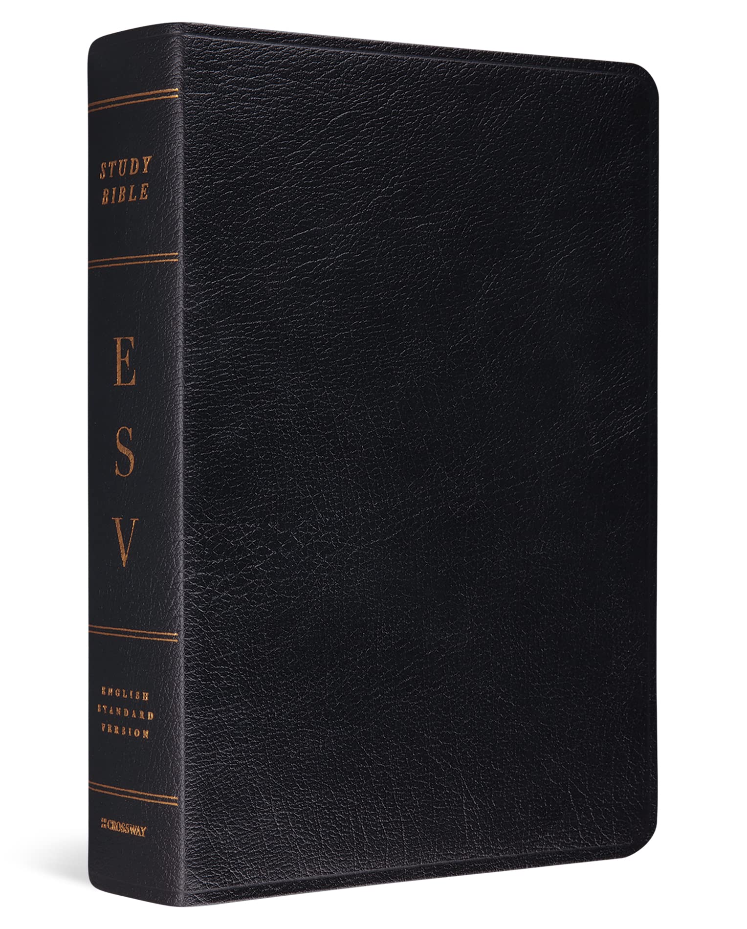 Buy ESV Study Bible: English Standard Version by Crossway Bibles — BookShops.in