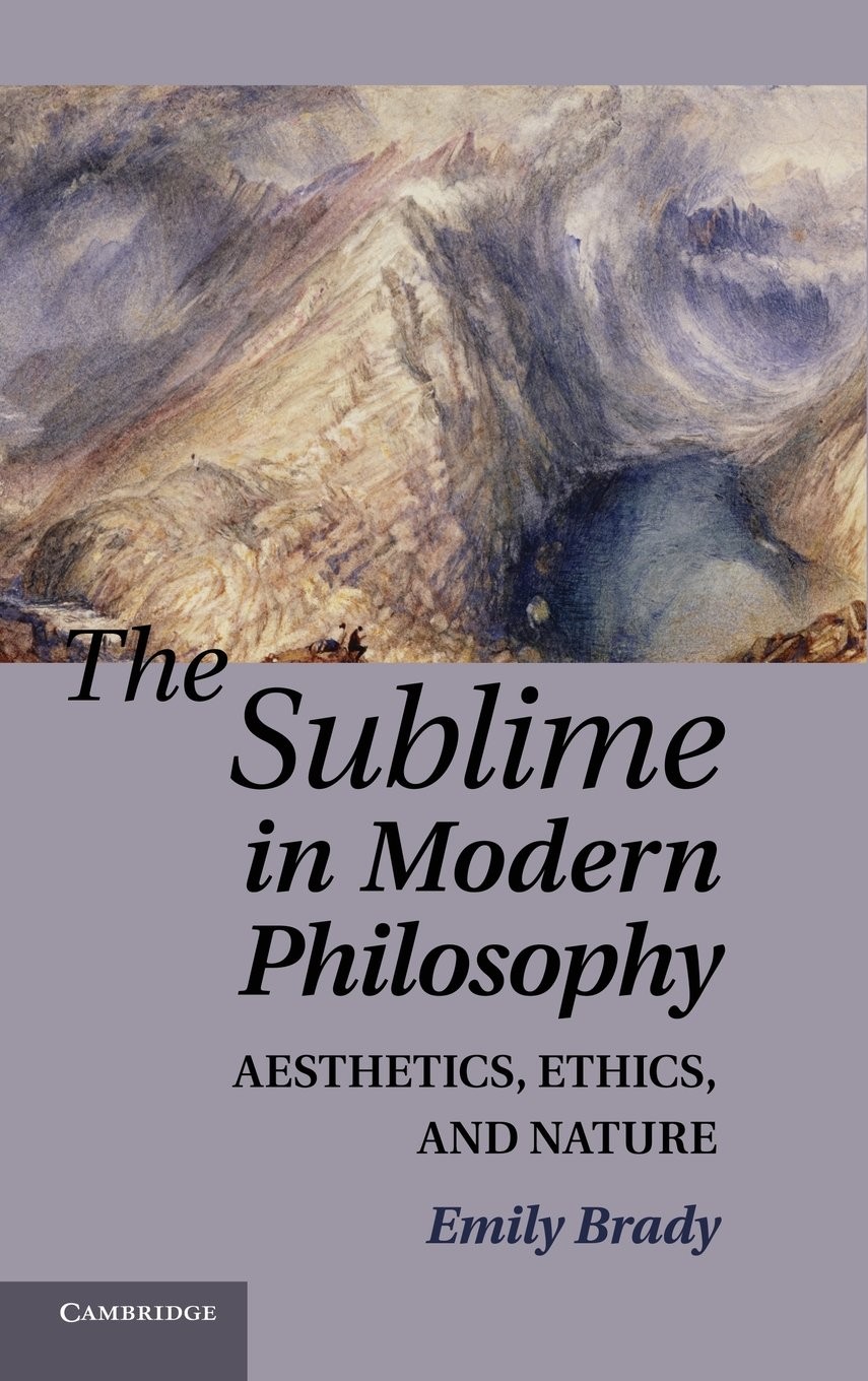 Buy The Sublime in Modern Philosophy (English, Emily Brady) — BookShops.in