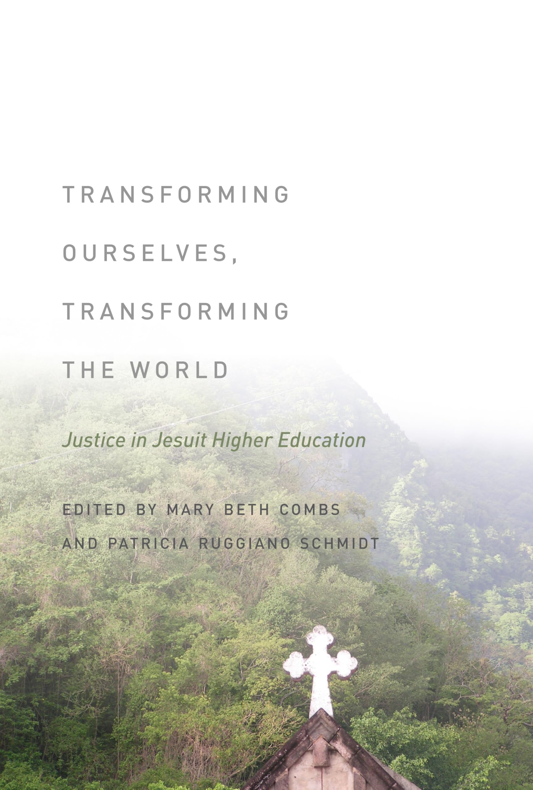 Buy Transforming Ourselves, Transforming the World by Mary Beth Combs – Jesuit Higher Education Justice — BookShops.in