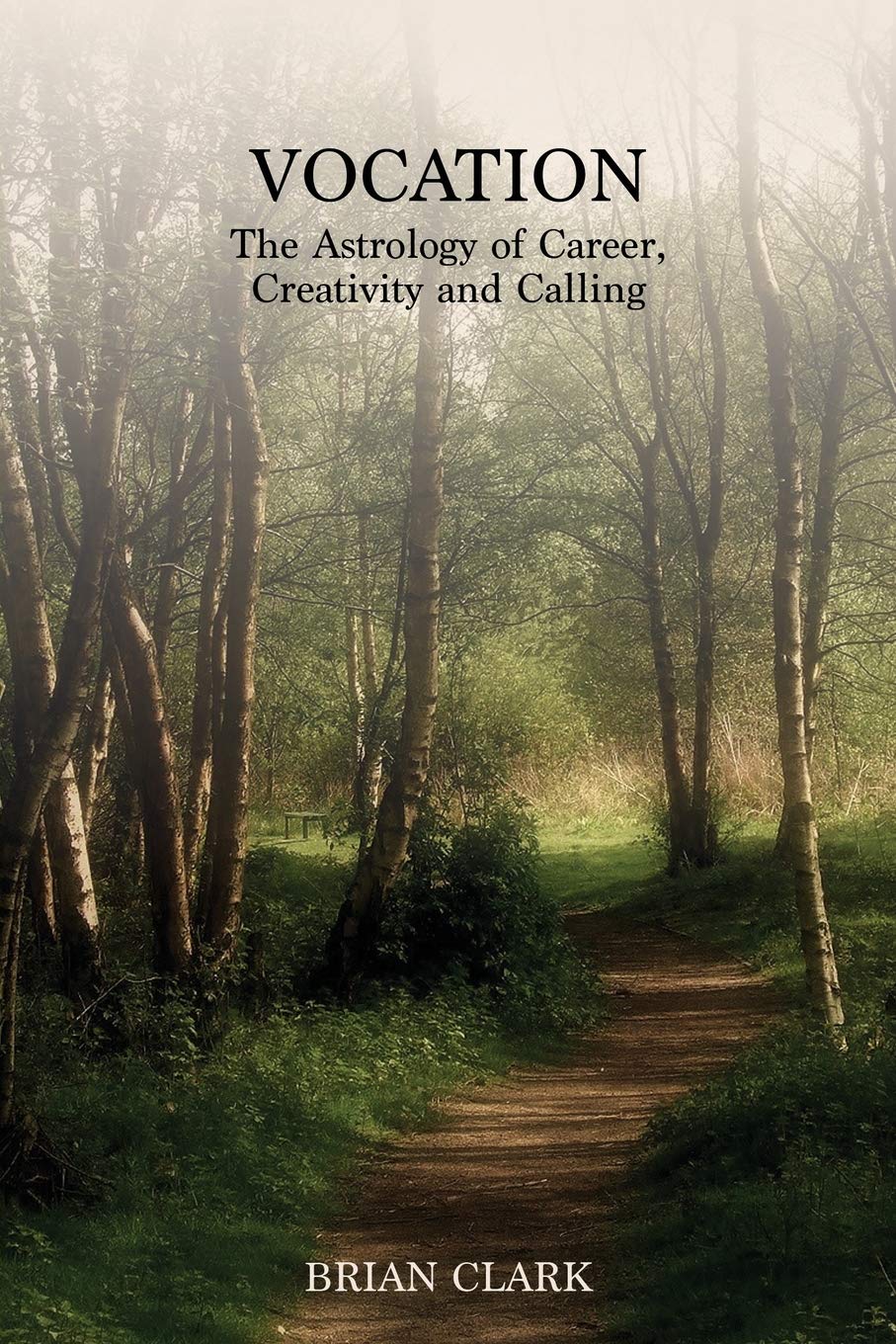 Vocation: The Astrology of Career, Creativity and Calling by Brian Clark β book cover