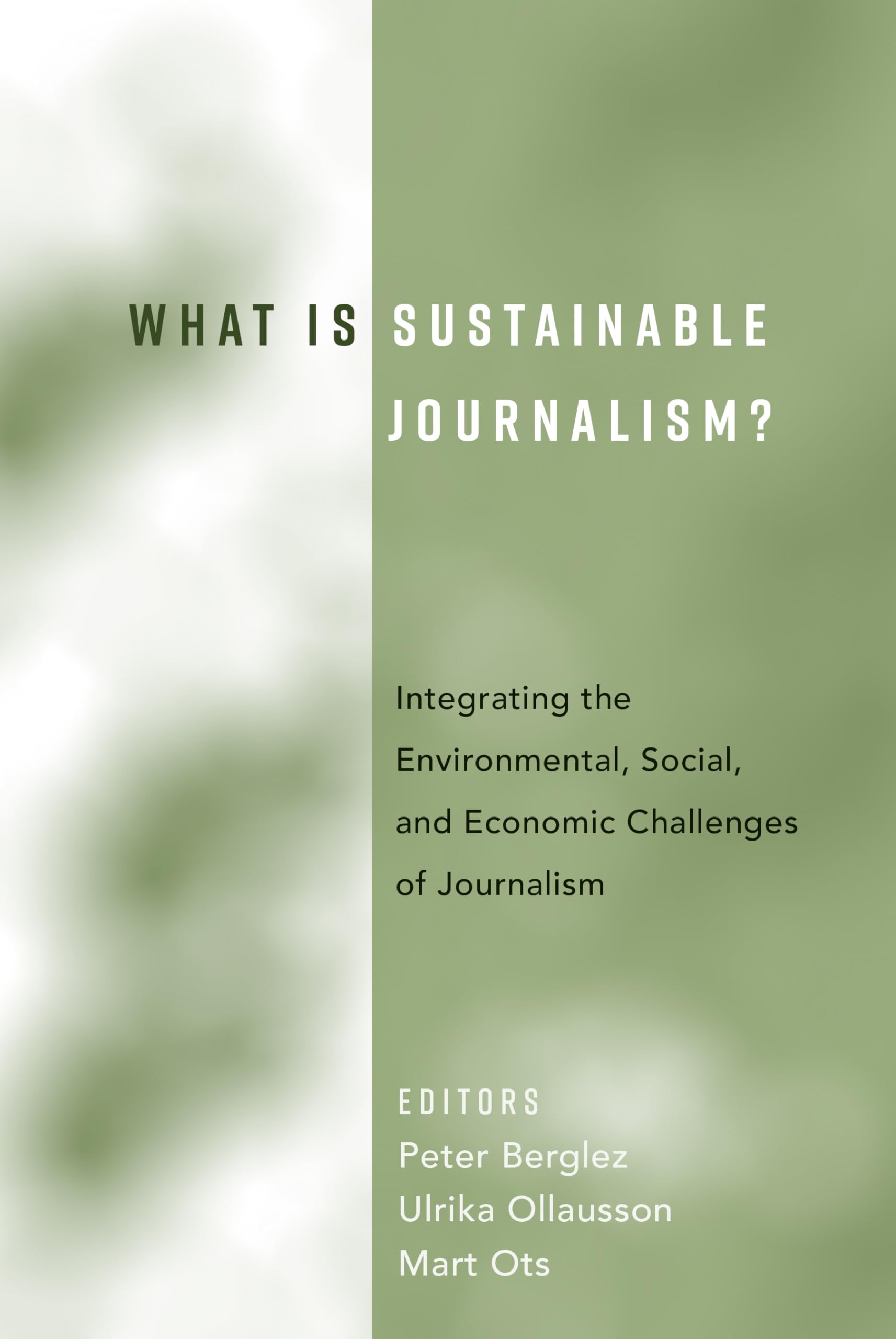 Buy What Is Sustainable Journalism?: Integrating the Environmental, Social, and Economic Challenges of Journalism — BookShops.in