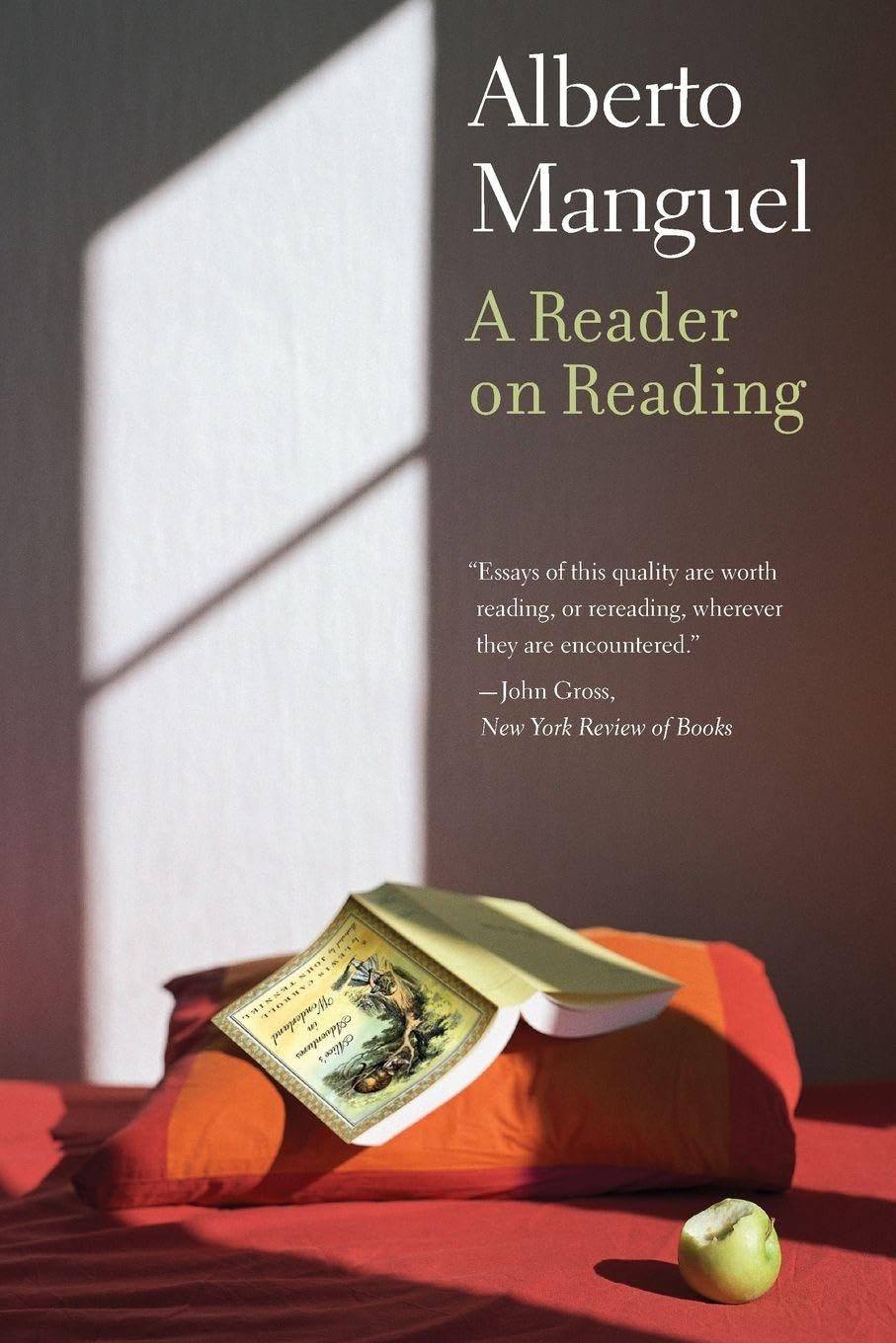 Buy A Reader on Reading by Alberto Manguel | Yale University Press Hardcover | Essays on Literature, Reading & Writing | Reference Book for Book Lovers — BookShops.in