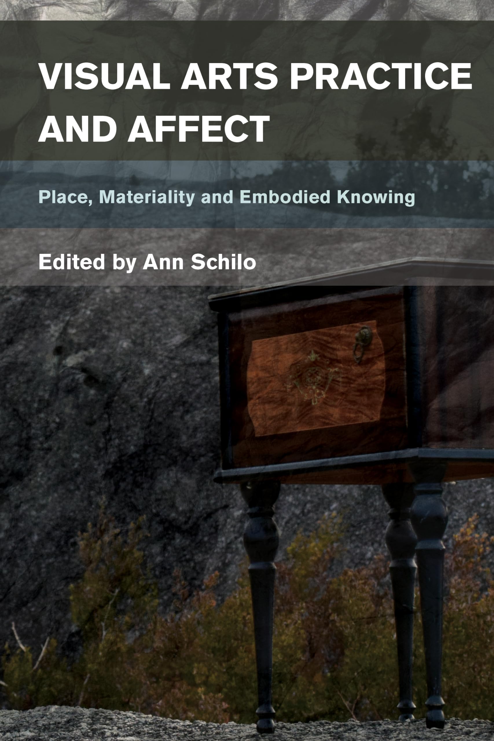Buy Visual Arts Practice and Affect: Place, Materiality and Embodied Knowing by Ann Schilo | Rowman & Littlefield Intl | Hardcover | 9781783487370 — BookShops.in