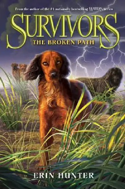 The Broken Path (English, Erin Hunter)