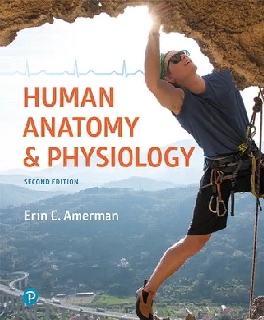 Buy Human Anatomy & Physiology | by Erin Amerman | Pearson | by — BookShops.in