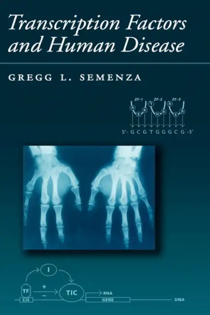 Buy Transcription Factors and Human Genetic Disease (English, Gregg Semenza) — BookShops.in