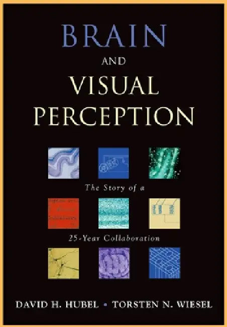 Buy Brain and Visual Perception (English, David H. Hubel | Torsten Wiesel) — BookShops.in