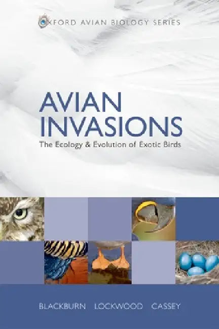 Buy Avian Invasions (English, Tim M. Blackburn | Julie L. Lockwood | Phillip Cassey) β BookShops.in