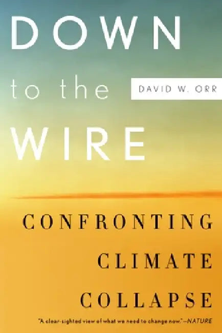 Buy Down to the Wire (English, David W. Orr) — BookShops.in