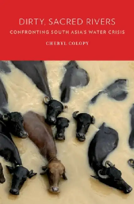 Buy Dirty, Sacred Rivers (English, Cheryl Colopy) โ BookShops.in