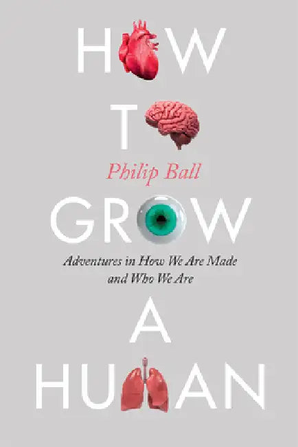 Buy How to Grow a Human (English, Philip Ball) — BookShops.in