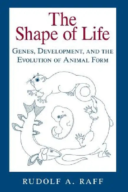 Buy The Shape of Life (English, Rudolf A. Raff) — BookShops.in