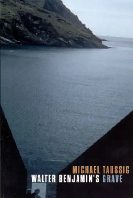 Buy Walter Benjamin's Grave (English, Michael Taussig) — BookShops.in
