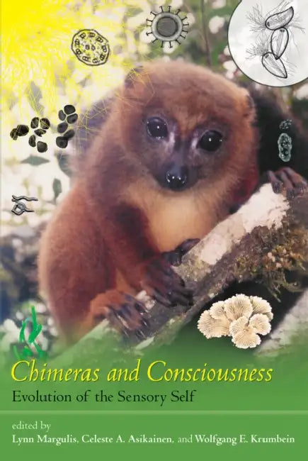 Buy Chimeras and Consciousness (English, Lynn Margulis | Celeste A. Asikainen | Wolfgang E. Krumbein) — BookShops.in