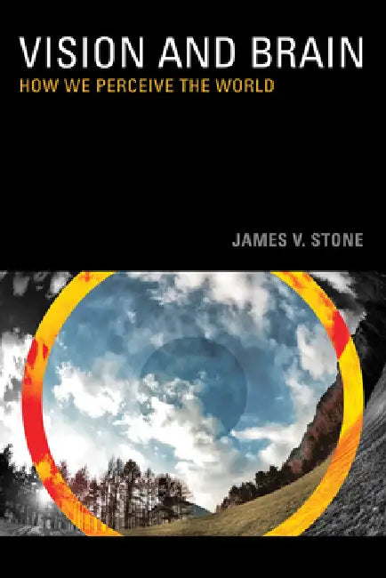 Buy Vision (English, James V. Stone) — BookShops.in