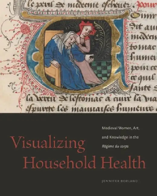 Buy Visualizing Household Health (English, Jennifer Borland) — BookShops.in
