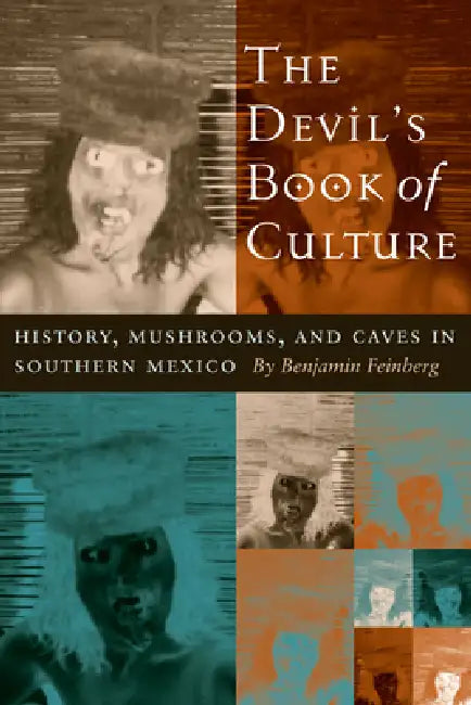 Buy The Devil's Book of Culture (English, Benjamin Feinberg) β BookShops.in