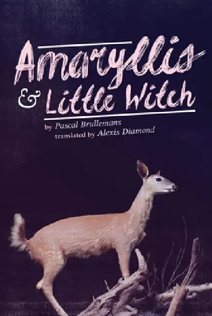 Buy Amaryllis & Little Witch (English, Pascal Brullemans | Alexis Diamond) — BookShops.in