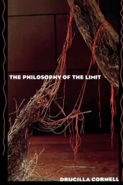 Buy The Philosophy of the Limit (English, Drucilla Cornell) — BookShops.in