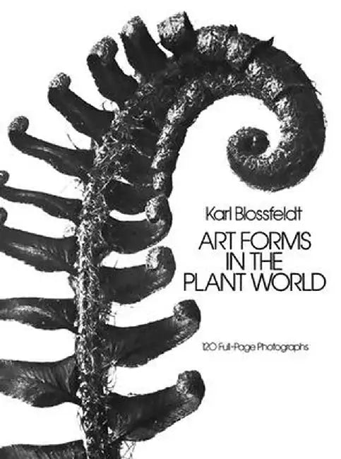 Buy Art Forms in the Plant World (English, Karl Blossfeldt) — BookShops.in