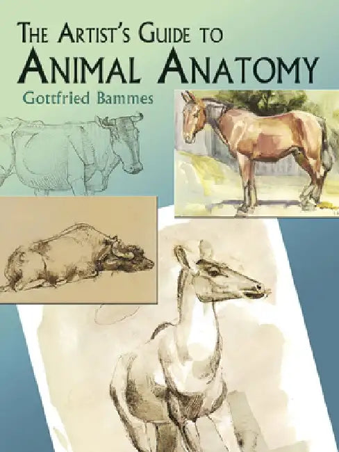 Buy The Artist's Guide to Animal Anatomy (English, Gottfried Bammes) — BookShops.in