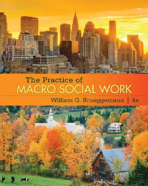 Buy The Practice of Macro Social Work (English, William Brueggemann) — BookShops.in