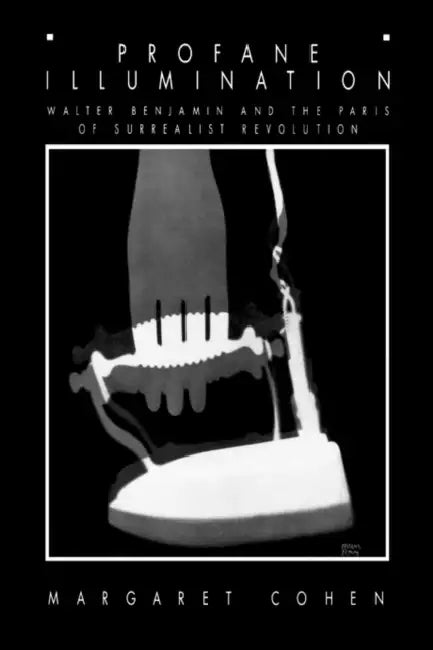 Buy Profane Illumination (English, Margaret Cohen) — BookShops.in