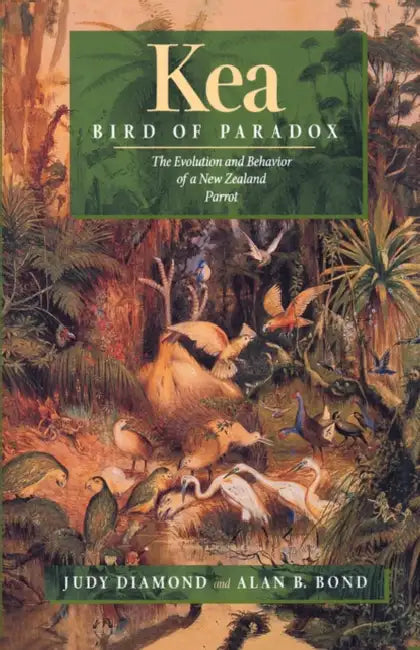Buy Kea, Bird of Paradox (English, Judy Diamond | Alan B. Bond) — BookShops.in