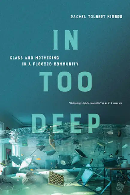 Buy In Too Deep (English, Rachel Kimbro) — BookShops.in