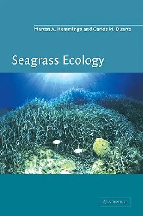 Seagrass Ecology – Comprehensive Guide to Coastal Marine Ecosystems view 4