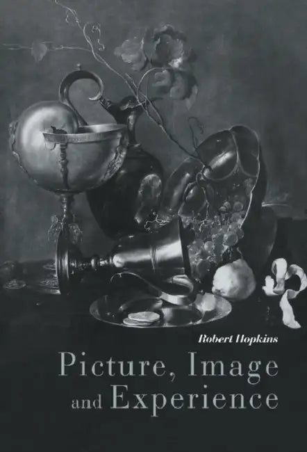 Buy Picture, Image and Experience (English, Robert Hopkins) — BookShops.in