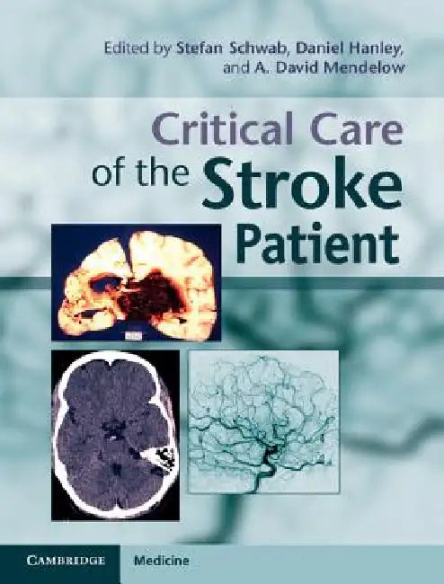 Buy Critical Care of the Stroke Patient | by Stefan Schwab | Dan — BookShops.in