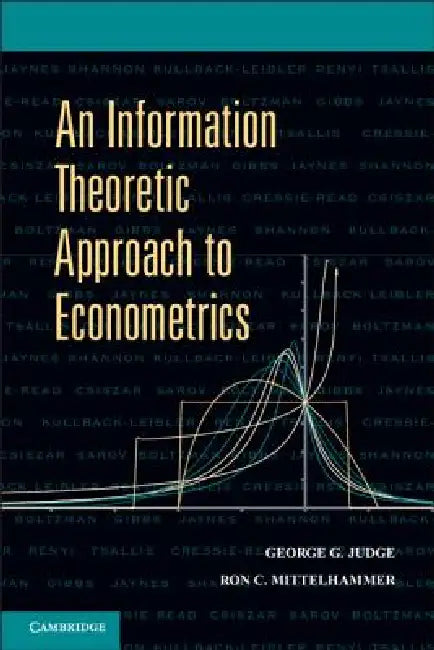 Buy Information Theoretic Approach to Econometrics (English, George G. Judge | Ron C. Mittelhammer) — BookShops.in