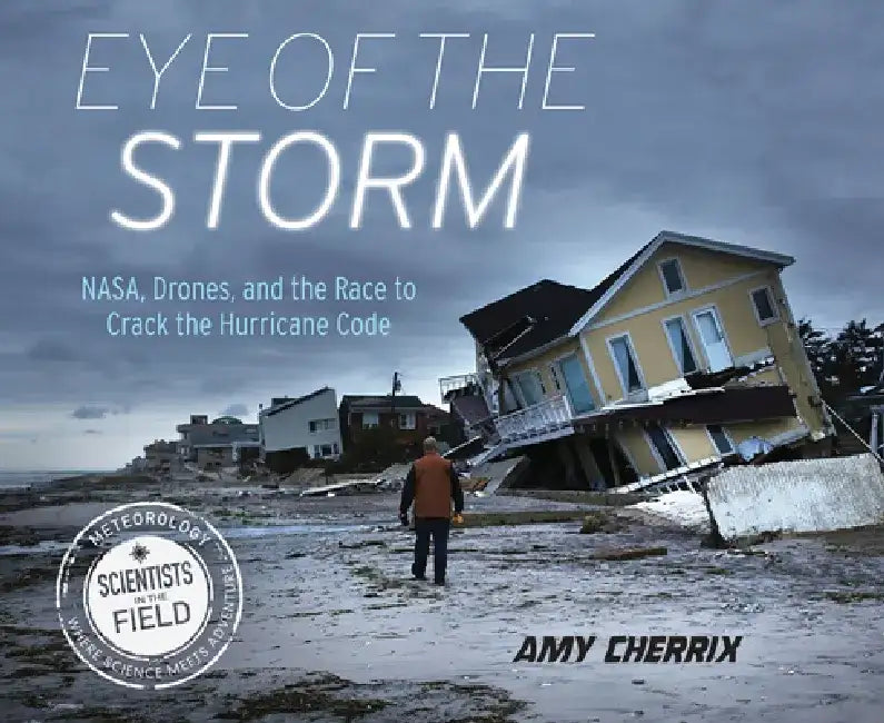 Buy Eye of the Storm (English, Amy Cherrix) — BookShops.in